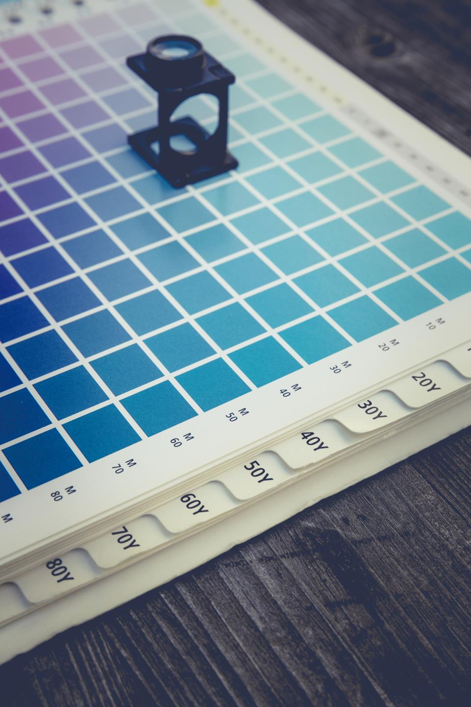 Paint colour swatches for a colour consultation